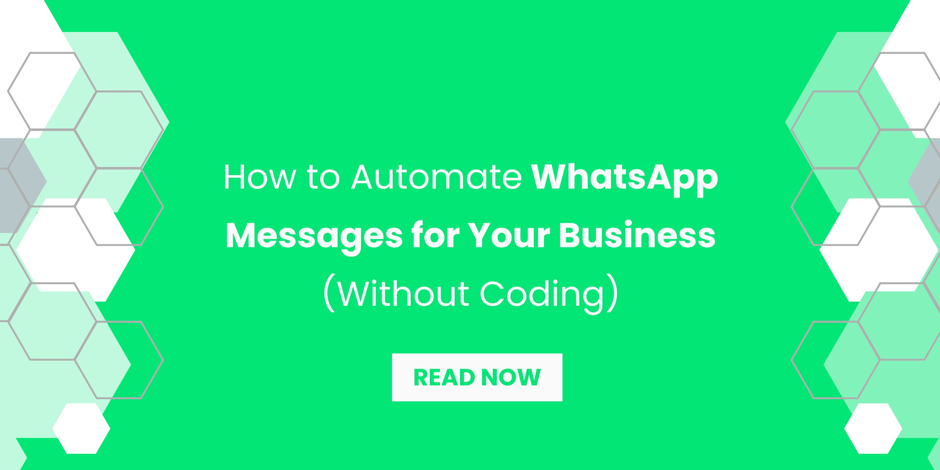 How to Automate WhatsApp Messages for Your Business (Without Coding)